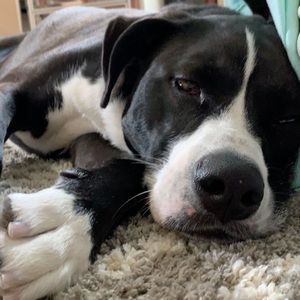 Meet your Posher, Victoria